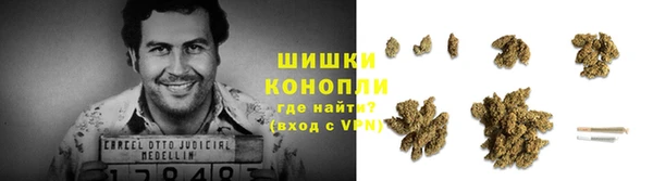 спиды Корсаков