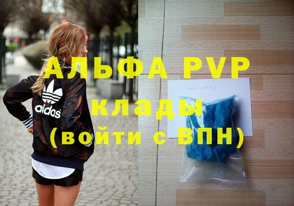 спиды Корсаков