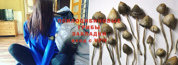 apvp Костерёво
