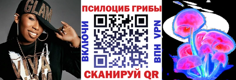 Купить где  Болохово  Галлюциногенные грибы Psilocybe 
