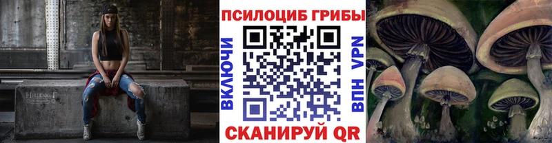 Галлюциногенные грибы прущие грибы Болохово